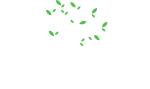 Friends Collective